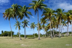 PANO_20200125_094459.vr_