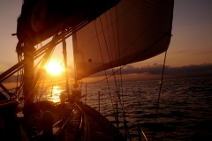 IMG_20120930_072710